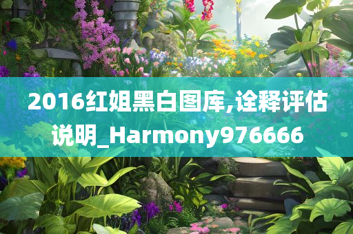 2016红姐黑白图库,诠释评估说明_Harmony976666