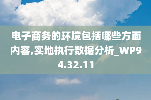 电子商务的环境包括哪些方面内容,实地执行数据分析_WP94.32.11