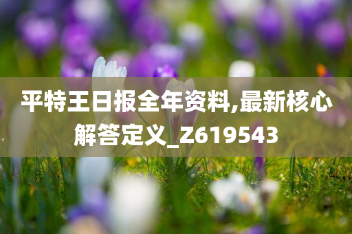 平特王日报全年资料,最新核心解答定义_Z619543