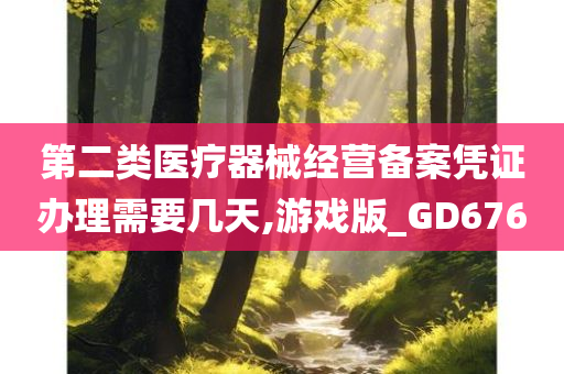 第二类医疗器械经营备案凭证办理需要几天,游戏版_GD676