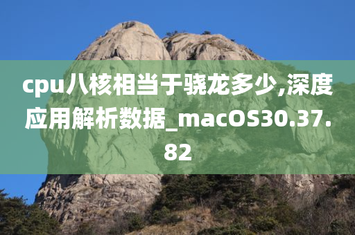 cpu八核相当于骁龙多少,深度应用解析数据_macOS30.37.82