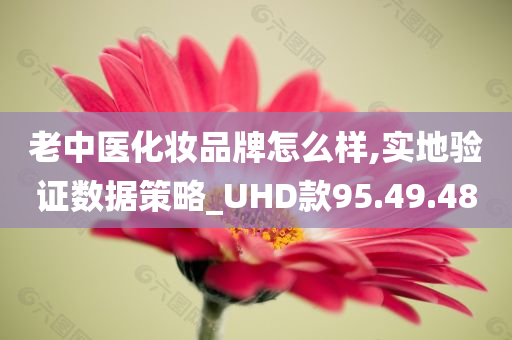 老中医化妆品牌怎么样,实地验证数据策略_UHD款95.49.48