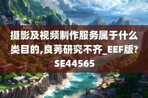 摄影及视频制作服务属于什么类目的,良莠研究不齐_EEF版?SE44565