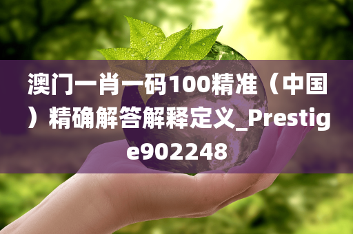 澳门一肖一码100精准（中国）精确解答解释定义_Prestige902248