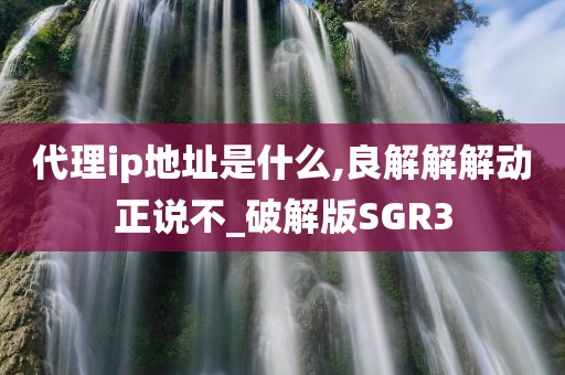 代理ip地址是什么,良解解解动正说不_破解版SGR3