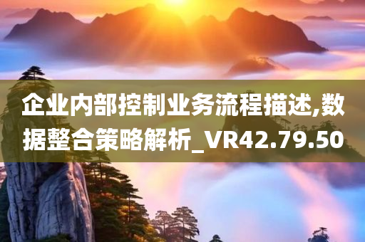 企业内部控制业务流程描述,数据整合策略解析_VR42.79.50