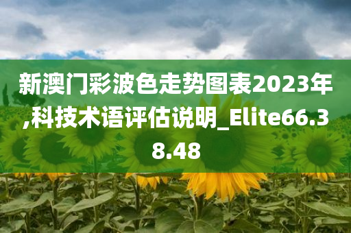 新澳门彩波色走势图表2023年,科技术语评估说明_Elite66.38.48