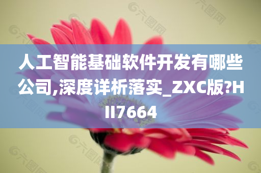 人工智能基础软件开发有哪些公司,深度详析落实_ZXC版?HII7664