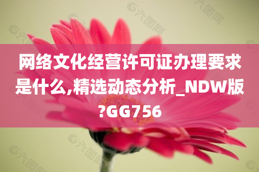 网络文化经营许可证办理要求是什么,精选动态分析_NDW版?GG756