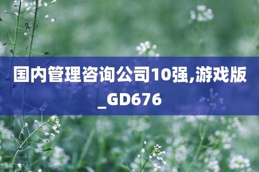 国内管理咨询公司10强,游戏版_GD676