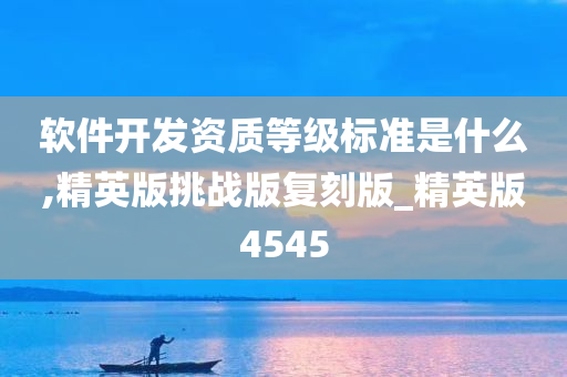 软件开发资质等级标准是什么,精英版挑战版复刻版_精英版4545