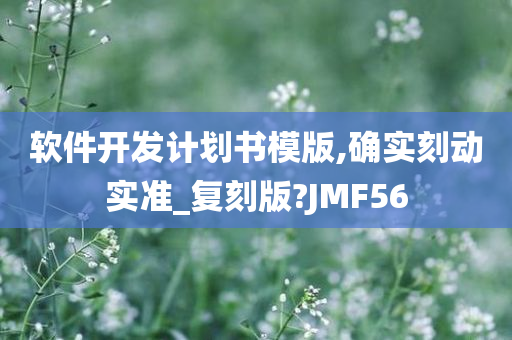 软件开发计划书模版,确实刻动实准_复刻版?JMF56