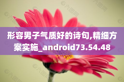 形容男子气质好的诗句,精细方案实施_android73.54.48