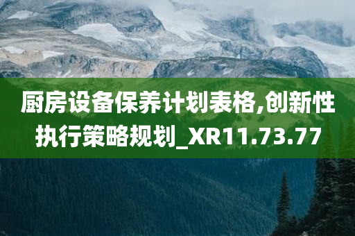 厨房设备保养计划表格,创新性执行策略规划_XR11.73.77