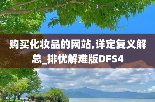 购买化妆品的网站,详定复义解总_排忧解难版DFS4