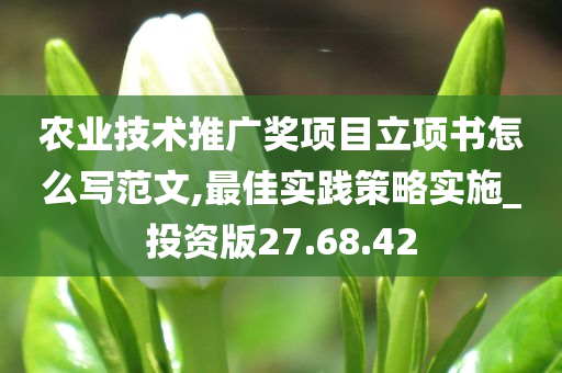 农业技术推广奖项目立项书怎么写范文,最佳实践策略实施_投资版27.68.42