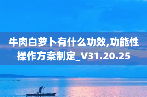 牛肉白萝卜有什么功效,功能性操作方案制定_V31.20.25