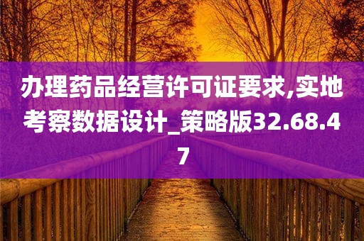 办理药品经营许可证要求,实地考察数据设计_策略版32.68.47