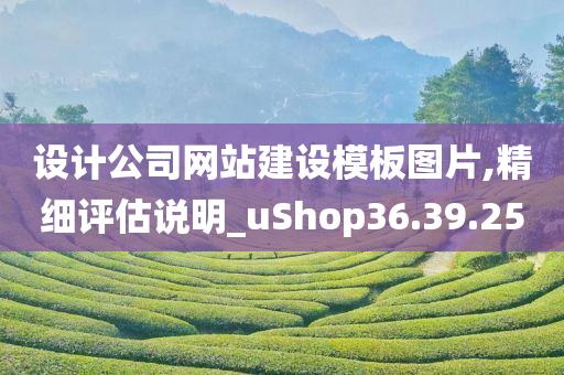 设计公司网站建设模板图片,精细评估说明_uShop36.39.25