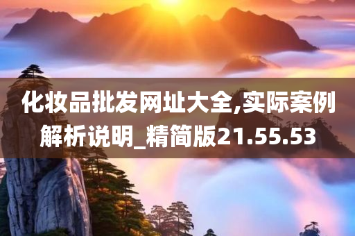 化妆品批发网址大全,实际案例解析说明_精简版21.55.53