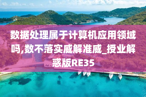 数据处理属于计算机应用领域吗,数不落实威解准威_授业解惑版RE35