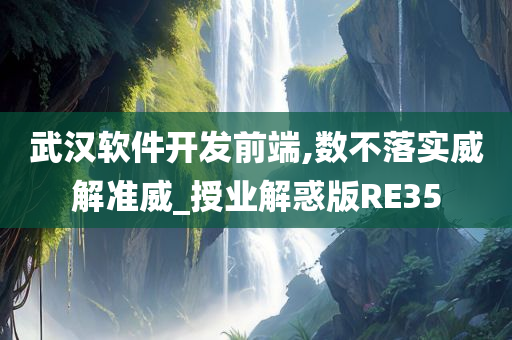 武汉软件开发前端,数不落实威解准威_授业解惑版RE35