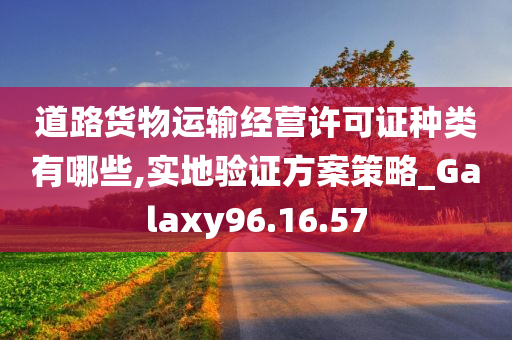 道路货物运输经营许可证种类有哪些,实地验证方案策略_Galaxy96.16.57