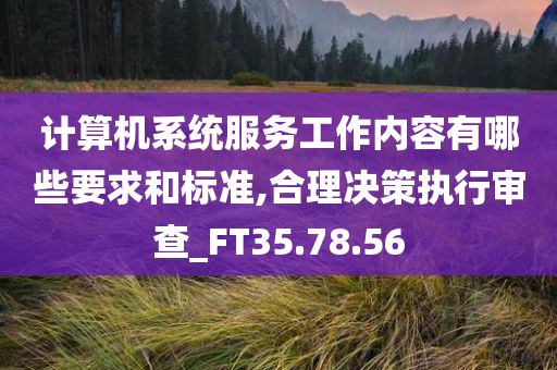 计算机系统服务工作内容有哪些要求和标准,合理决策执行审查_FT35.78.56