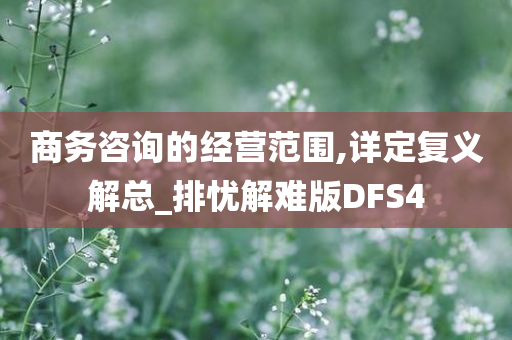 商务咨询的经营范围,详定复义解总_排忧解难版DFS4