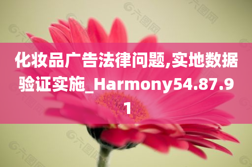 化妆品广告法律问题,实地数据验证实施_Harmony54.87.91