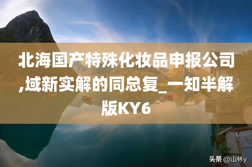 北海国产特殊化妆品申报公司,域新实解的同总复_一知半解版KY6