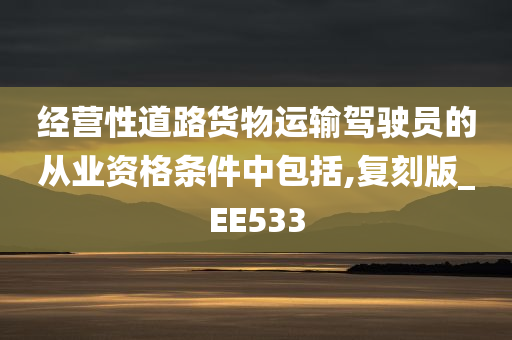 经营性道路货物运输驾驶员的从业资格条件中包括,复刻版_EE533