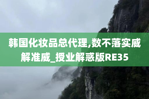 韩国化妆品总代理,数不落实威解准威_授业解惑版RE35