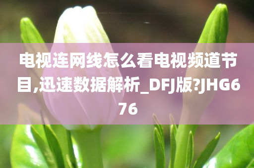 电视连网线怎么看电视频道节目,迅速数据解析_DFJ版?JHG676