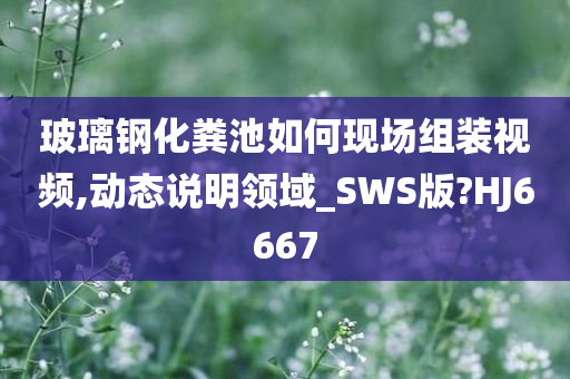 玻璃钢化粪池如何现场组装视频,动态说明领域_SWS版?HJ6667