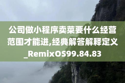 公司做小程序卖菜要什么经营范围才能进,经典解答解释定义_RemixOS99.84.83