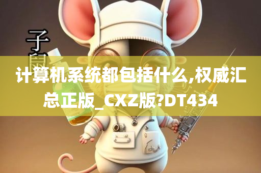 计算机系统都包括什么,权威汇总正版_CXZ版?DT434