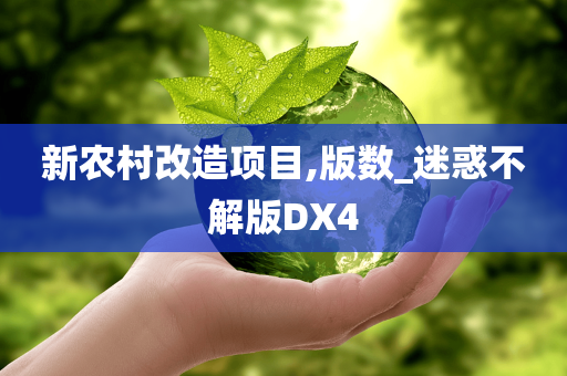 新农村改造项目,版数_迷惑不解版DX4