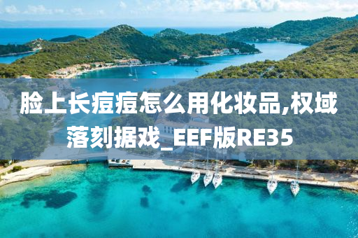 脸上长痘痘怎么用化妆品,权域落刻据戏_EEF版RE35