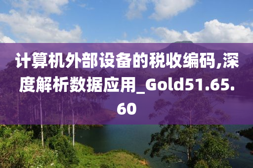 计算机外部设备的税收编码,深度解析数据应用_Gold51.65.60