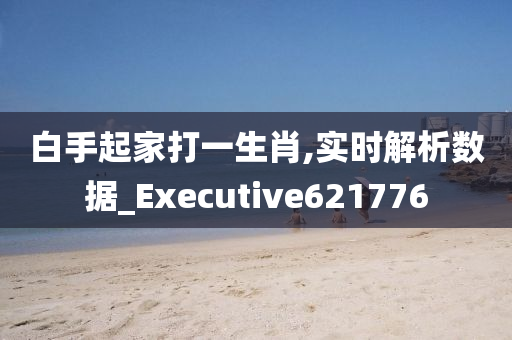 白手起家打一生肖,实时解析数据_Executive621776