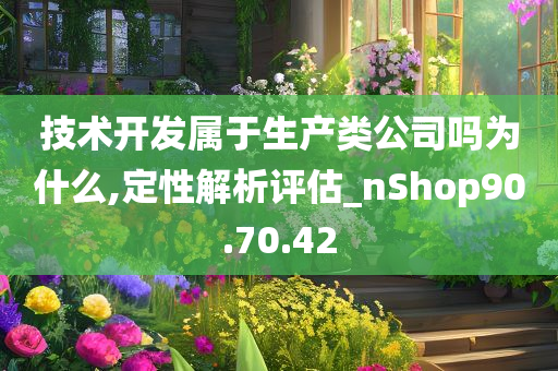 技术开发属于生产类公司吗为什么,定性解析评估_nShop90.70.42