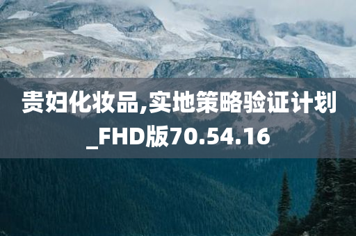 贵妇化妆品,实地策略验证计划_FHD版70.54.16