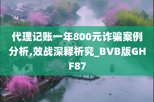 代理记账一年800元诈骗案例分析,效战深释析究_BVB版GHF87