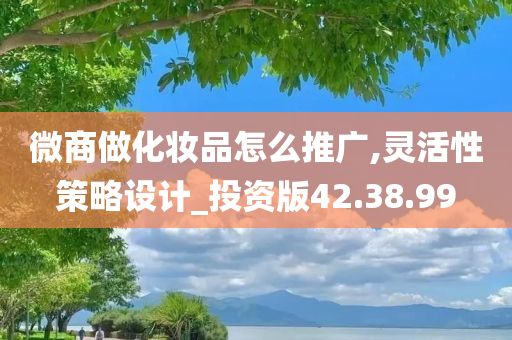 微商做化妆品怎么推广,灵活性策略设计_投资版42.38.99