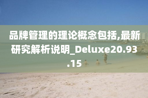 品牌管理的理论概念包括,最新研究解析说明_Deluxe20.93.15