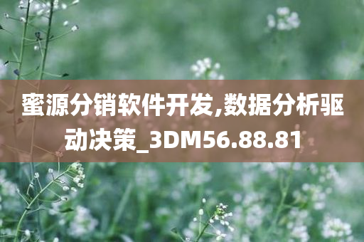 蜜源分销软件开发,数据分析驱动决策_3DM56.88.81