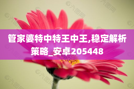 管家婆特中特王中王,稳定解析策略_安卓205448