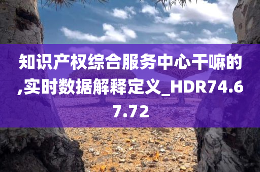 知识产权综合服务中心干嘛的,实时数据解释定义_HDR74.67.72