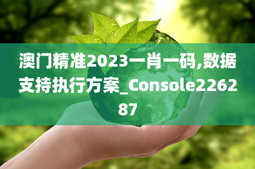 澳门精准2023一肖一码,数据支持执行方案_Console226287